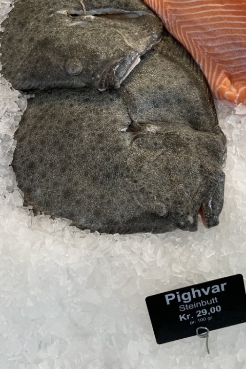 pighvar