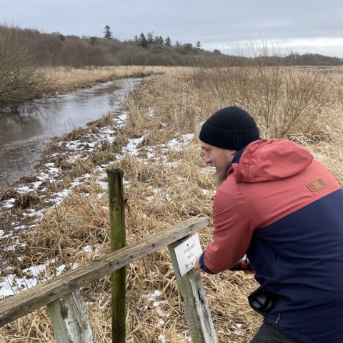 forårsklargøring ved åen-2